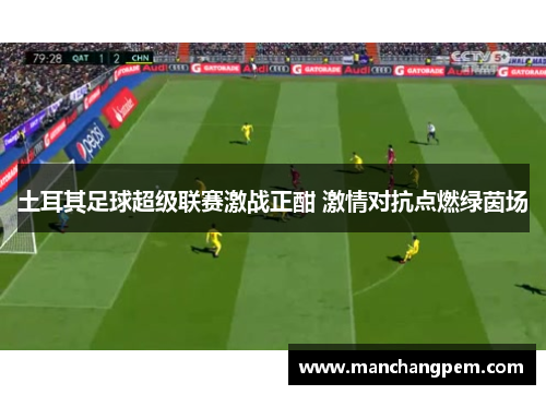 土耳其足球超级联赛激战正酣 激情对抗点燃绿茵场